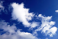 �����Ʋ�