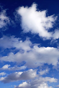 ������հ��Ʒ羰