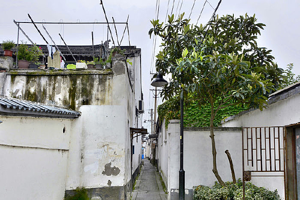 ������Ӻ�ͬ