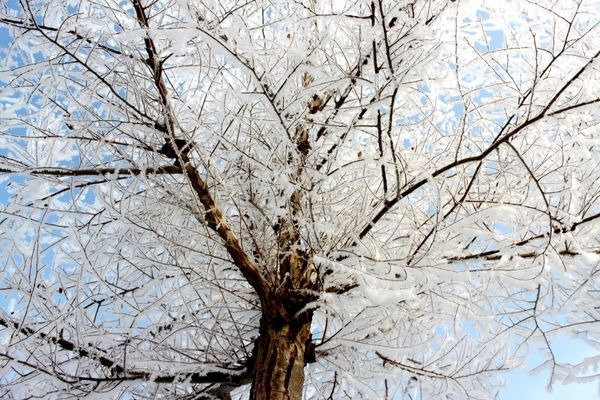 I��������ڡ