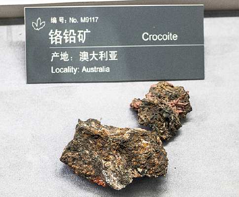 �Ĵ����Ǹ�Ǧ��