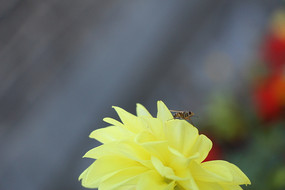 �����ջ��ϵ��۷�