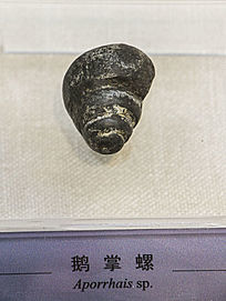 ݻʯ