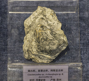 ����ɸ�ű���ʯ