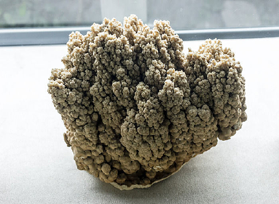 ����״����ʯ