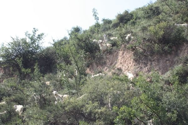 �ÿ�����Ⱥ