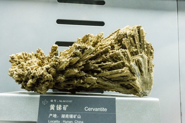 ���ϻ����