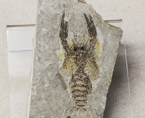 ����Ǻ�Ϻ��ʯ