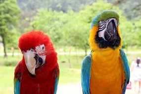 �������