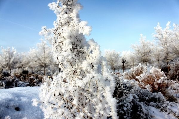 ������ڡ