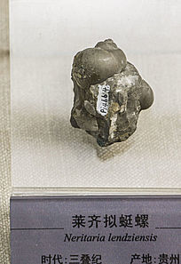 ݻʯ