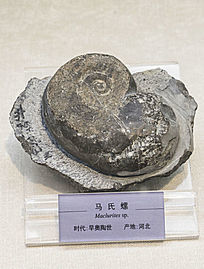 ݻʯ
