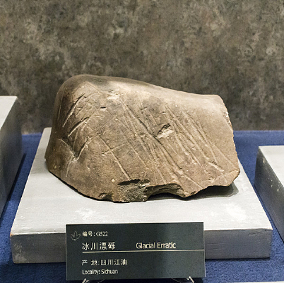 �Ĵ����ͱ���Ư��