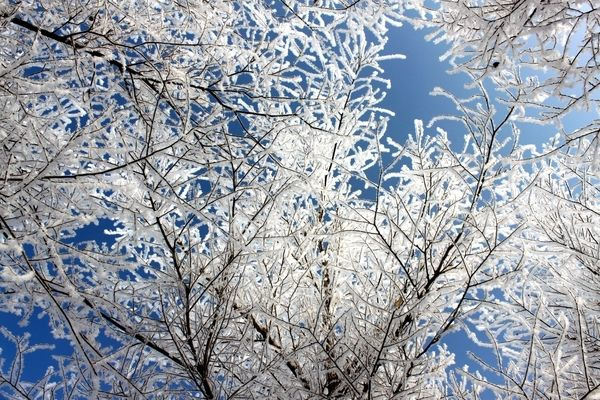 ��ڡ������