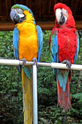 һ�Խ������