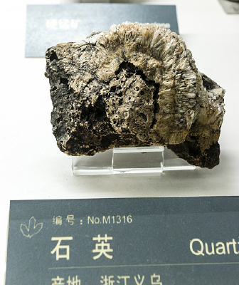 �㽭����ʯӢ