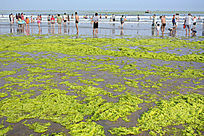 ����ԡ������