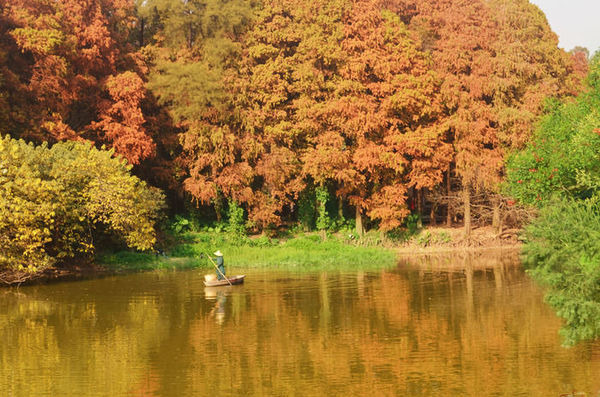 �����ﾰ�����ַ��ͼƬ