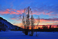 ѩԭ��ϼ����