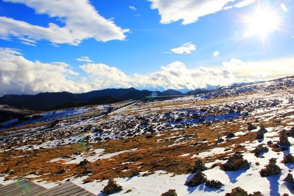 �����µı���