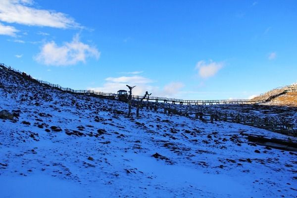 տ���ı�������