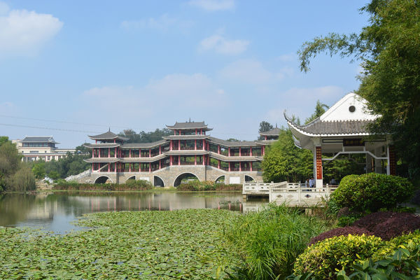 ��Ӱ¥����