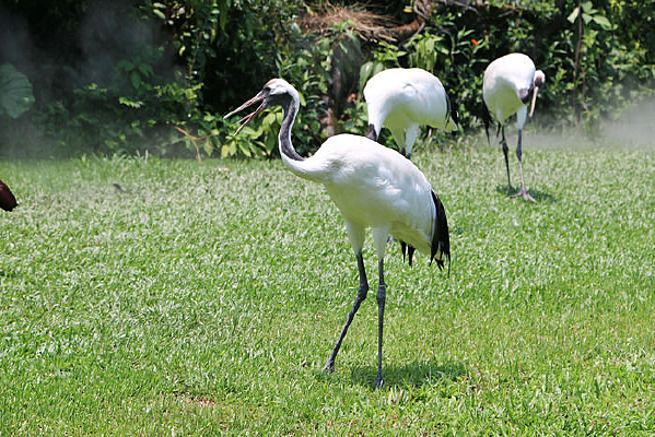 �ݵ��ϵĵ�����