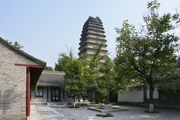 ������С����