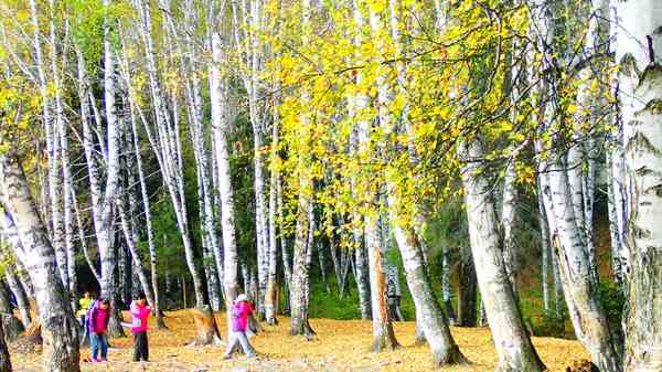 ���հ�����