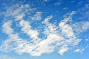 ������ָ���Ʋ�