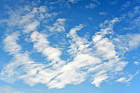 ������ָ���Ʋ�