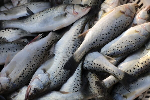 ���ʵ���