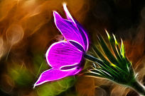 ���Ի�����ͷ�̡�