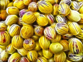 ���Ի����˲ι���