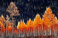 ���Ի����������ϡ�