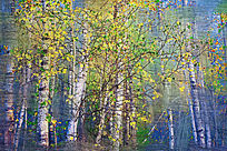 �����ͻ����������ϡ�