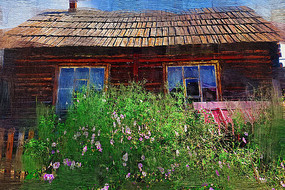 �����ͻ�������ľ�ݡ�