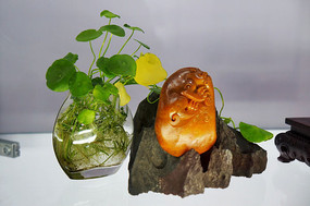 ��������辰