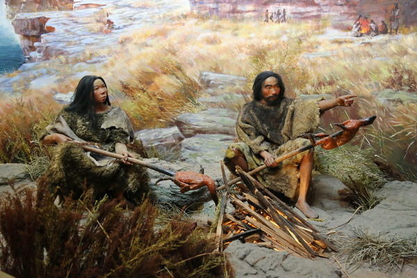 �������û��տ�����