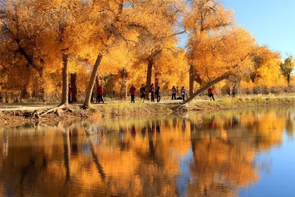 ���Ϻ���