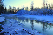 ��ɫ�ı���