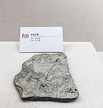 �����л��Ź�