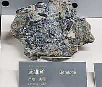 ��������׶��