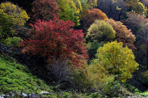 ����Ĳ���