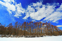 ѩԭ���ַ��