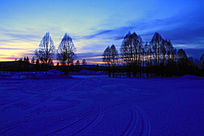 ѩԭ����ĺɫ