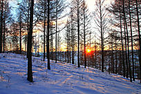 ѩԭ����ĺɫ