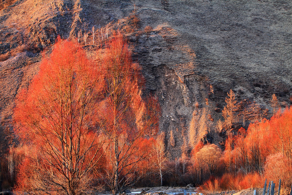 �紺�ĺ���