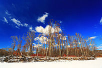 �紺��ѩԭ�����羰