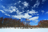 �紺��ѩԭ��������